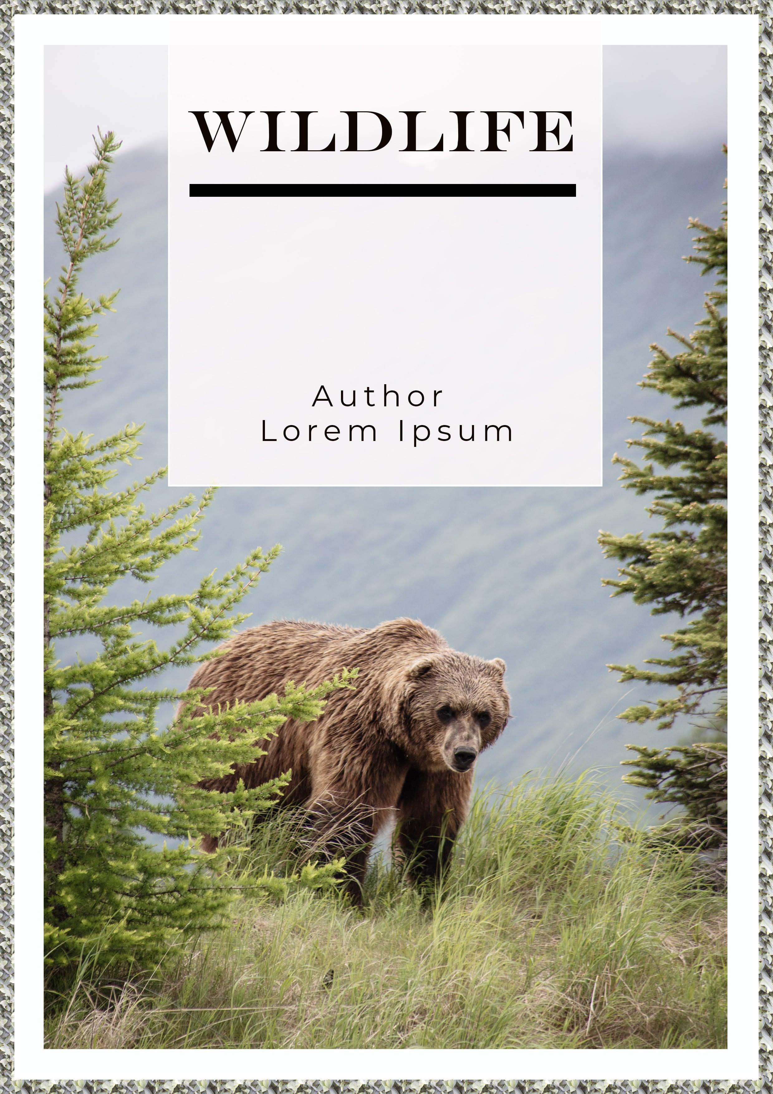 I will be your Graphics Designer .