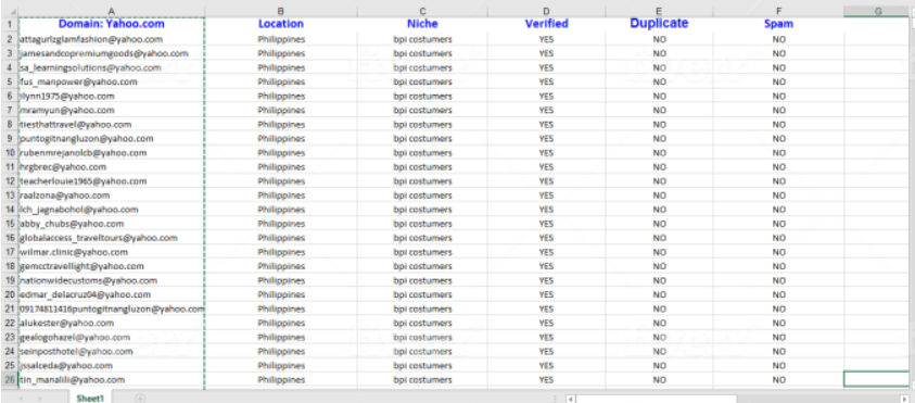 I will collect niche based bulk email list for email marketing