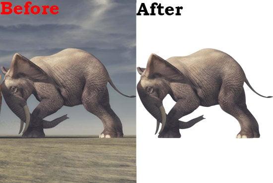 I will remove background from Photo or Photoshop Edit 