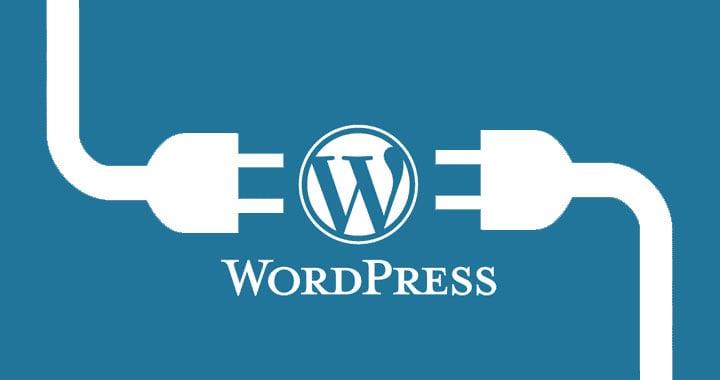 I will customization full wordpress webside plugin and theme