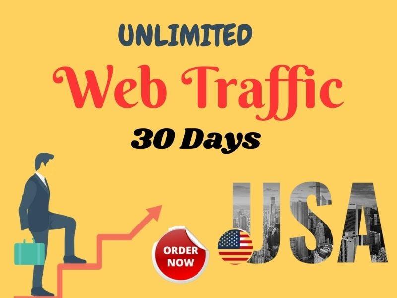 I will drive best USA targeted web traffic inside the web site