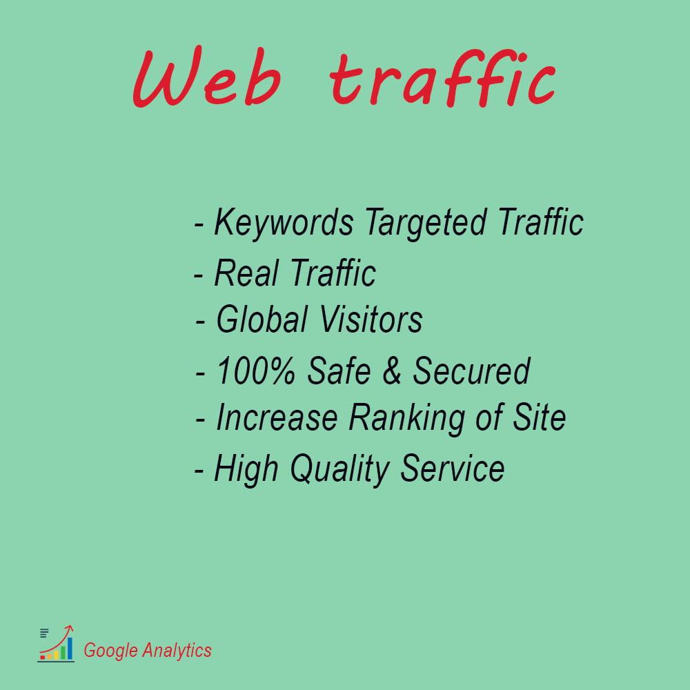 I will drive organic safe web traffic