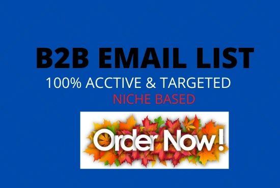 I will create niche targeted B2B email list 
