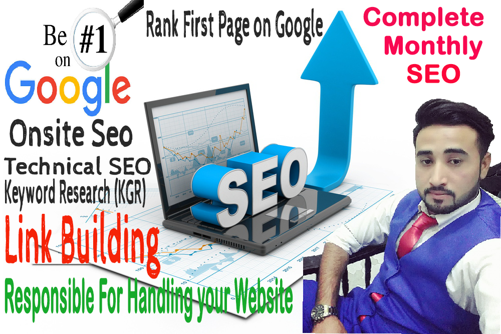 i will provide you monthly seo for your website,blogs,shopify store and affiliate sites