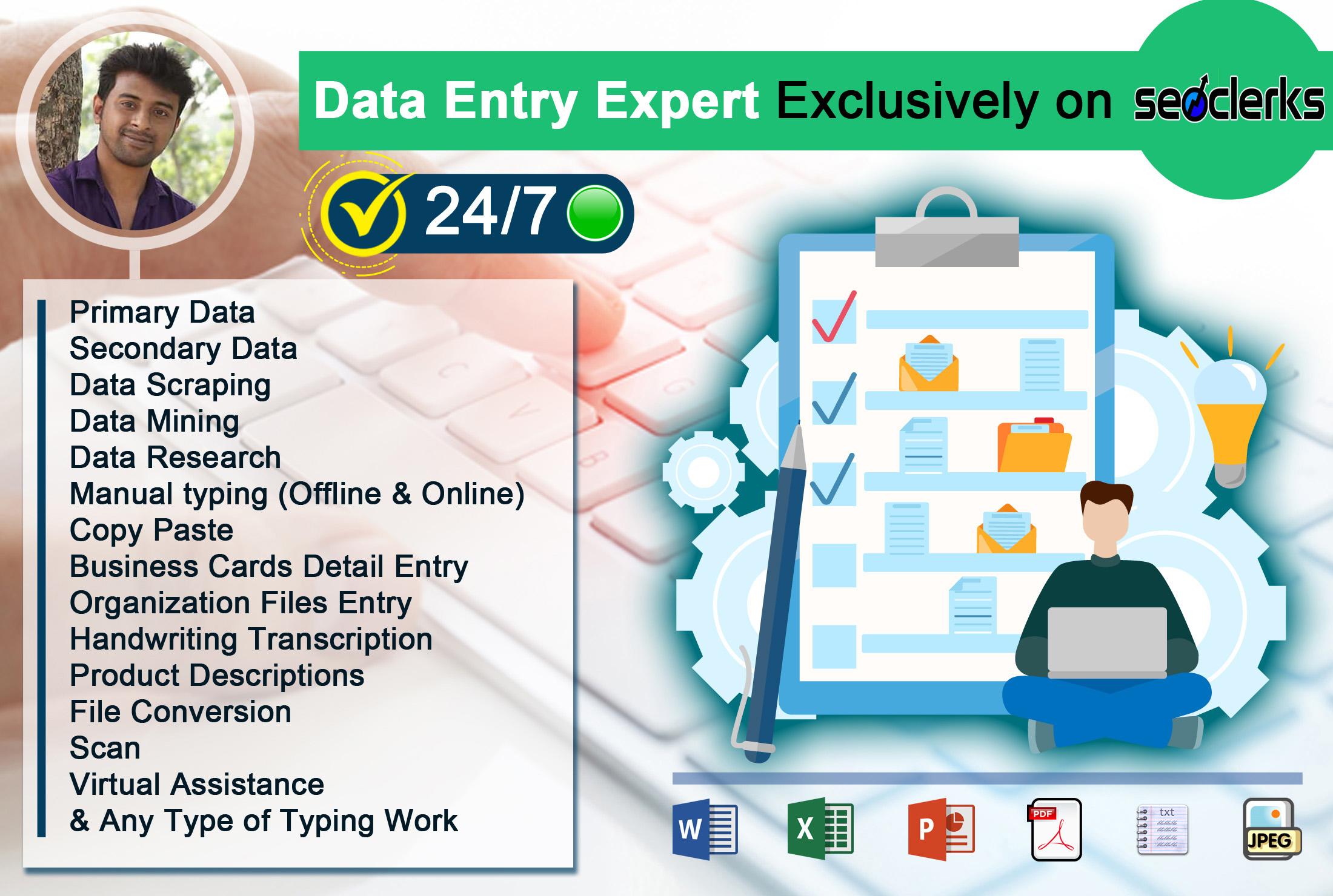 I will be your data entry expert for 5 hours daily