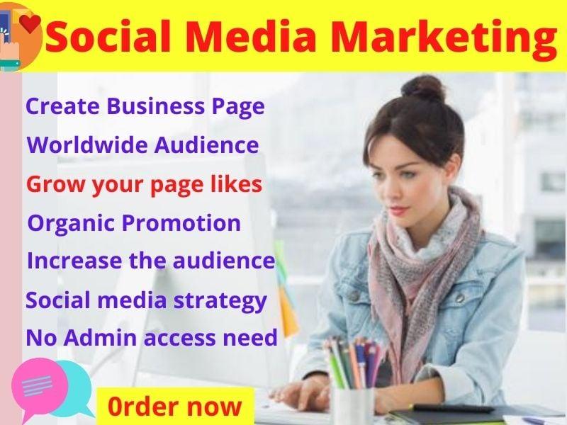 	I will Promote and Advertise your Facebook page social media to grow your business