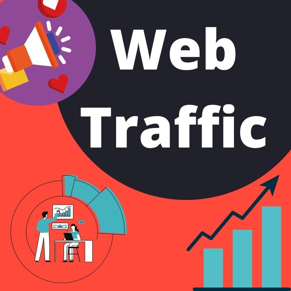 I will drive safe and organic unlimited traffic to your website
