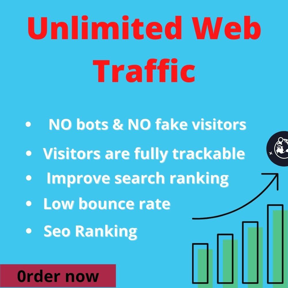 I will drive safe and organic unlimited traffic to your website