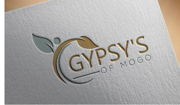 I will design professional logo design.