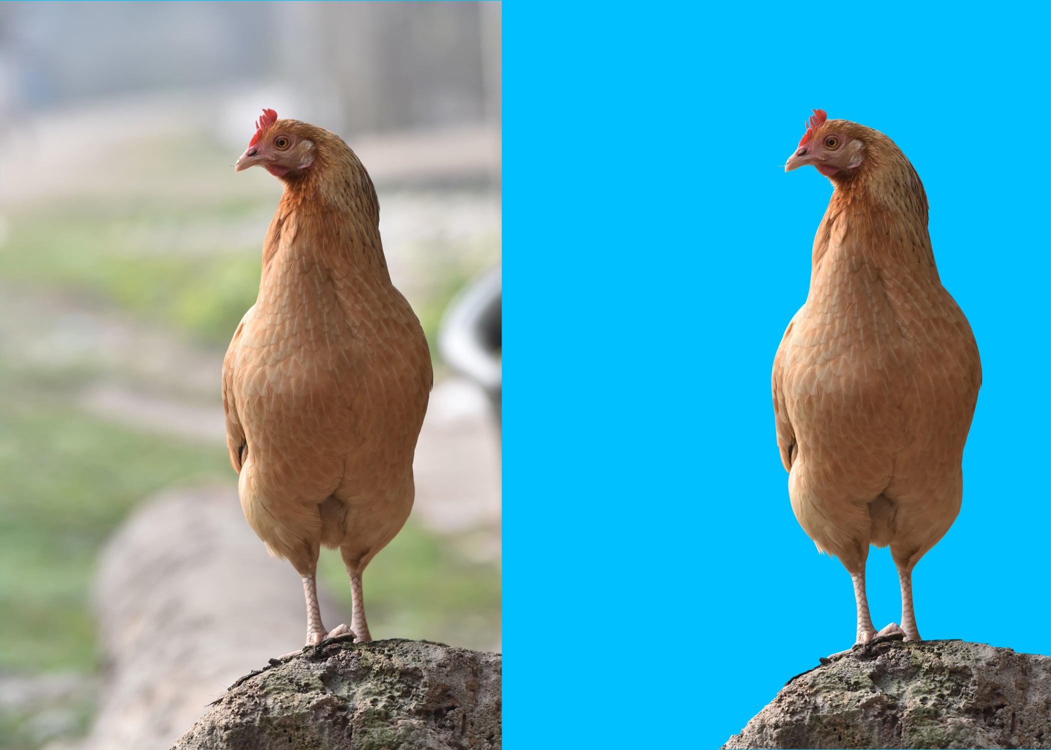 I will remove unwanted background from your images perfectly