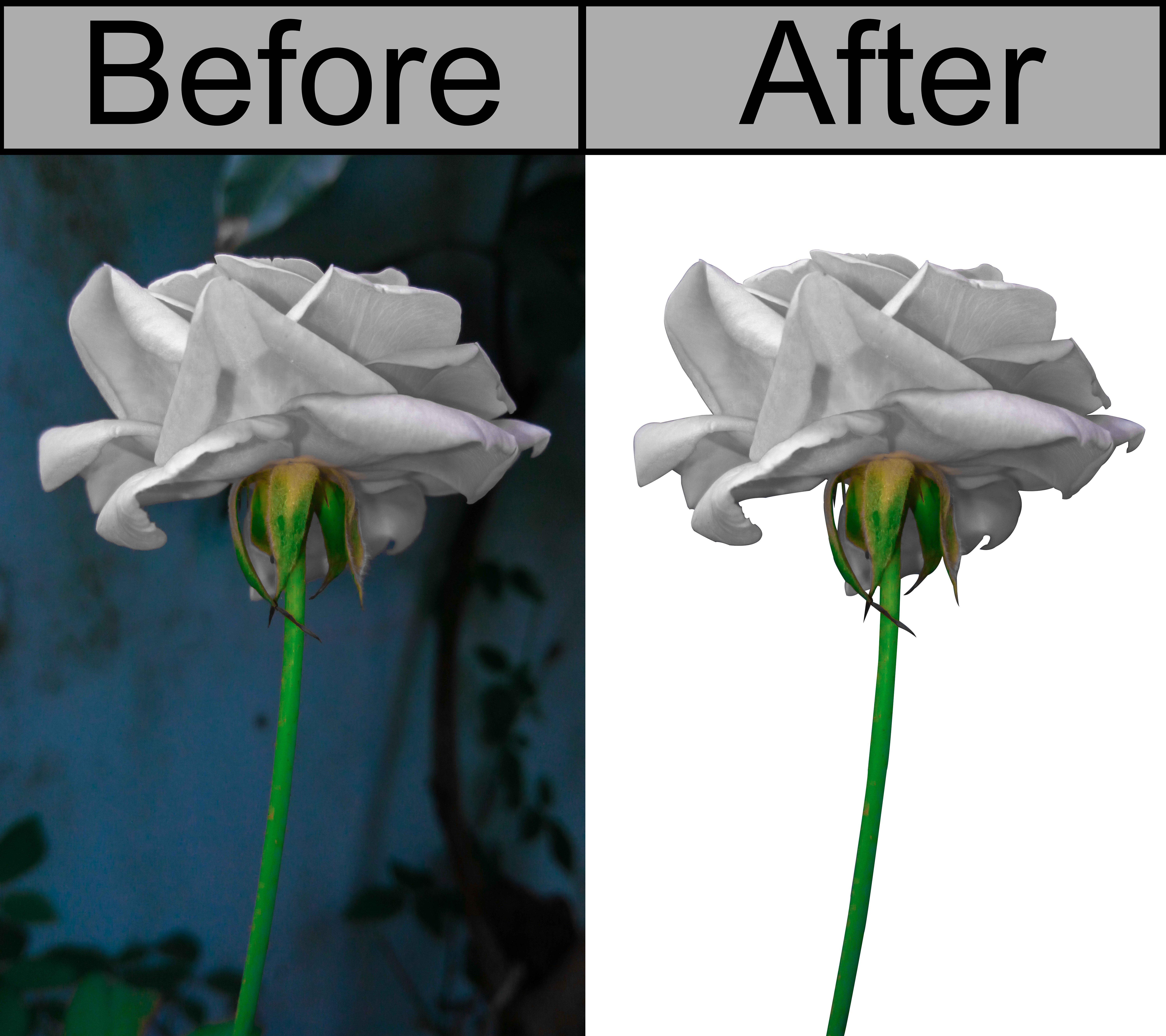 I will remove unwanted background from your images perfectly