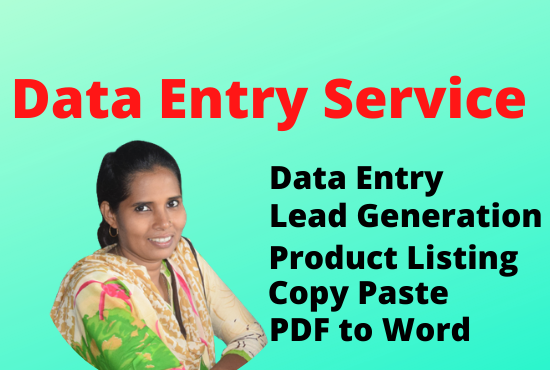 I will provide expert data entry in 24 hours