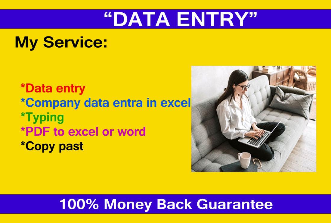 I will do fast data entry, typing, scan file to word or excel