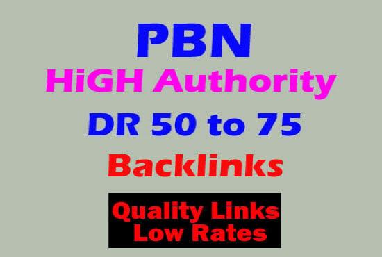  I'll provide 30 DR 50 to 75 backlinks off page seo