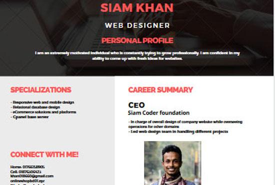 Professional Wordpress customization and website build service