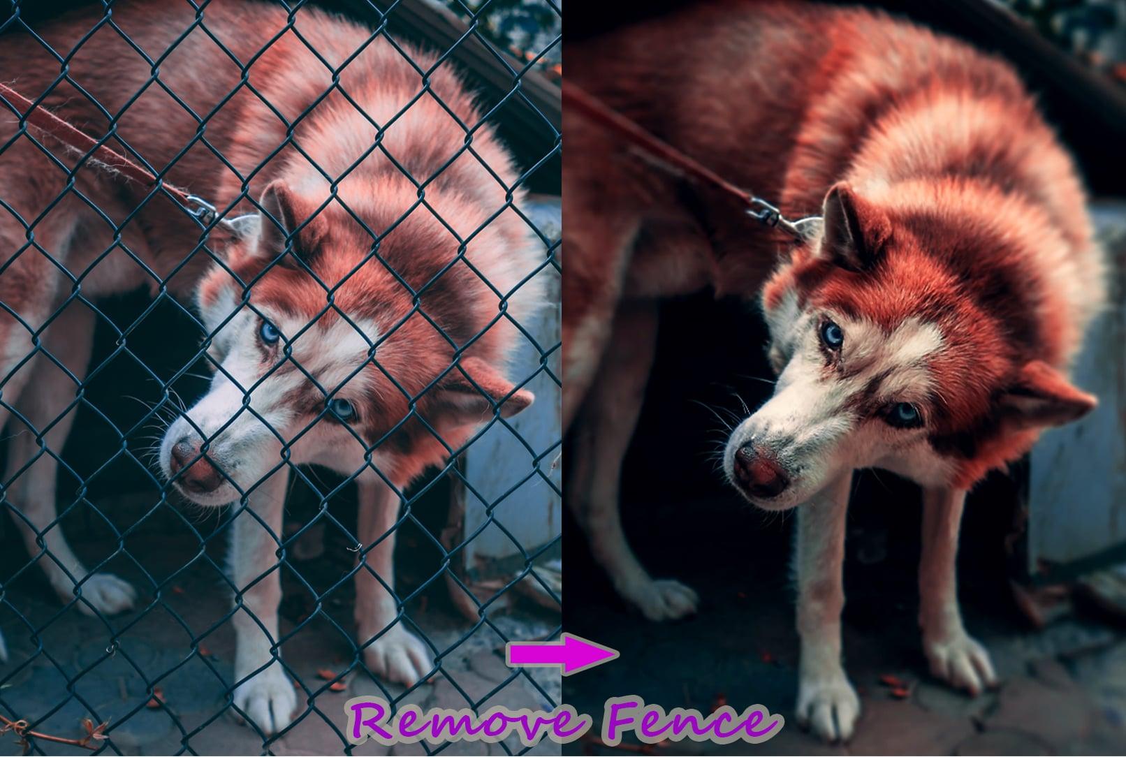 I will do any image editing, add or remove object and Background remove job within 24 hrs