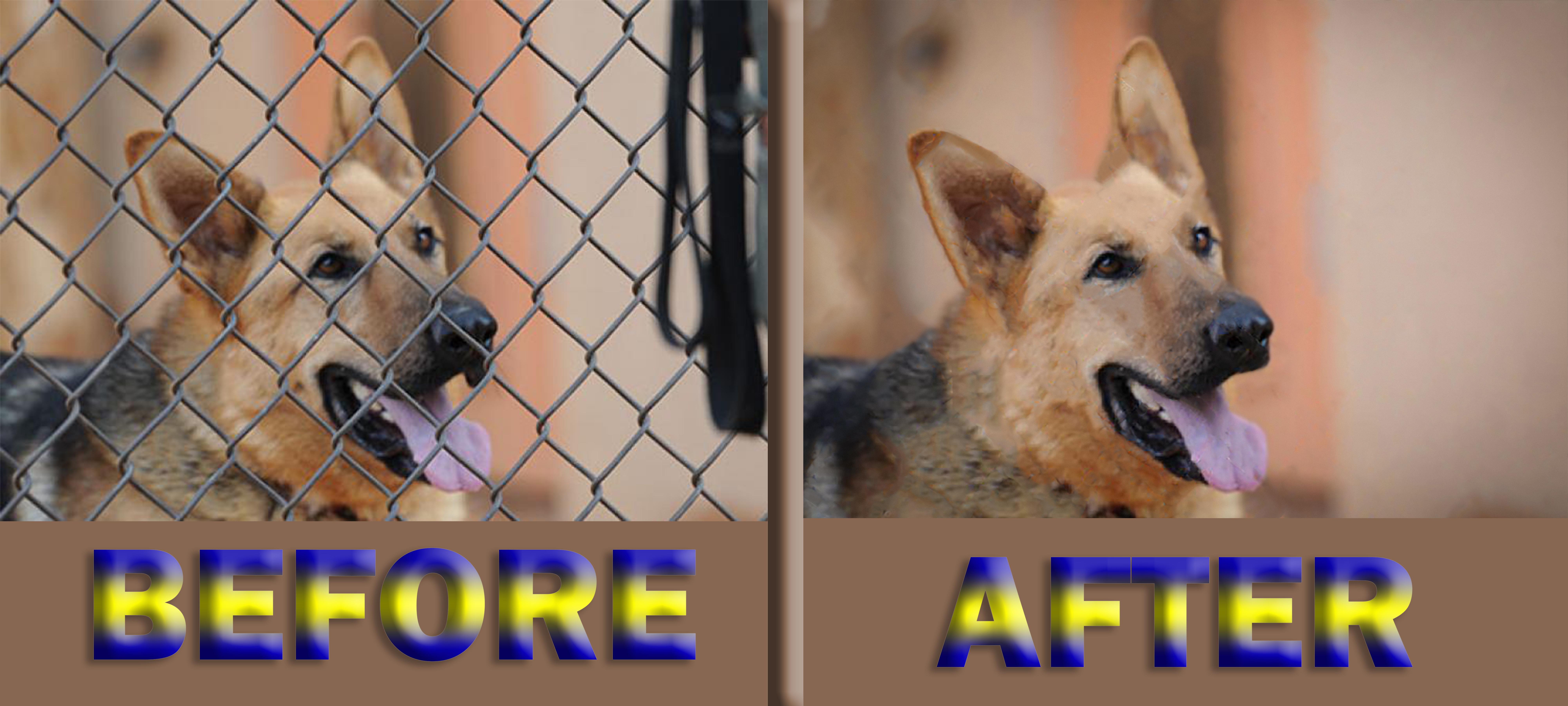 I will do background removal and removal fence