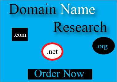 I will Find & Research High Quality Domain Name 