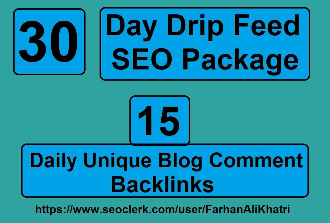 I Will SEO Service Do 30 Days Daily Update 15 Blog Comments Dofollow Backlinks
