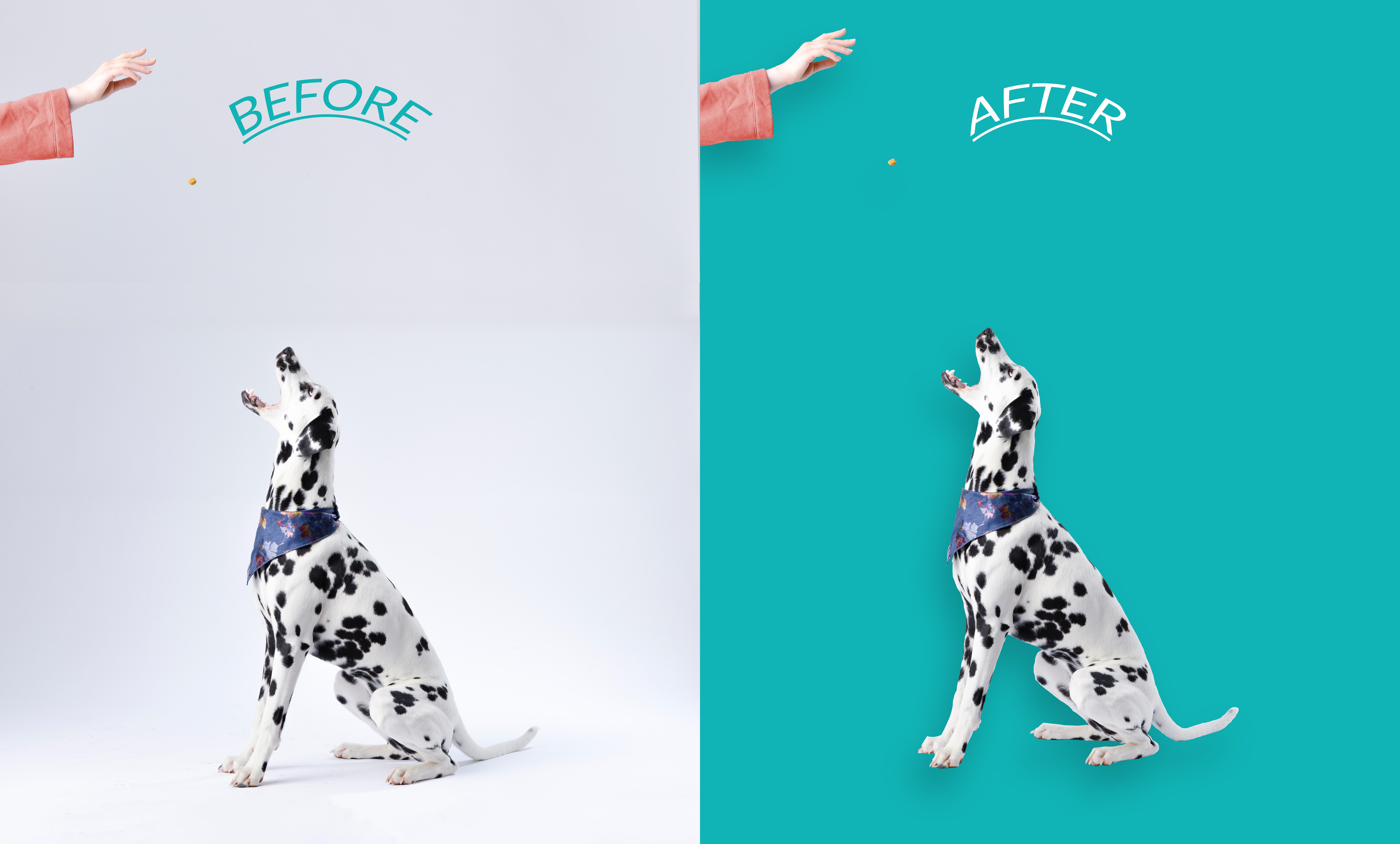 I will remove 15 photos background and cut out images professionally