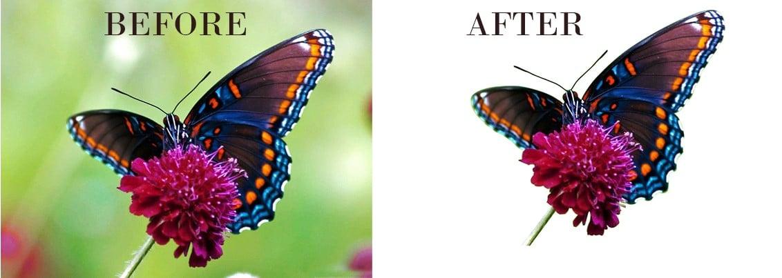 I'll remove background within 5 hours