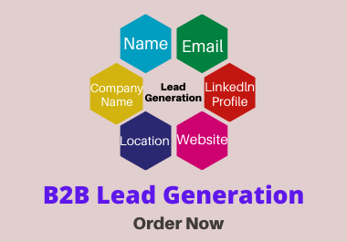 I will provide targeted B2B Lead Generation with 100% Satisfaction