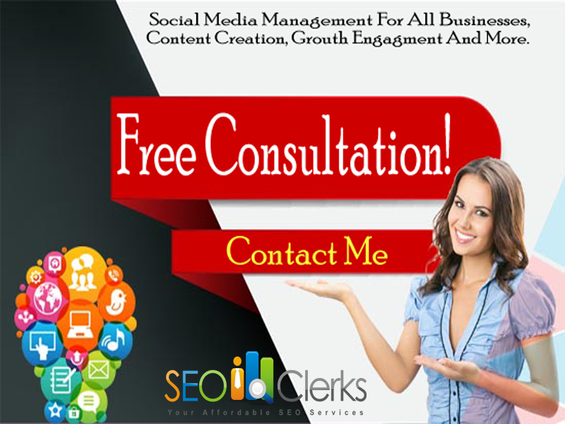 I will be your social media manager and content writer