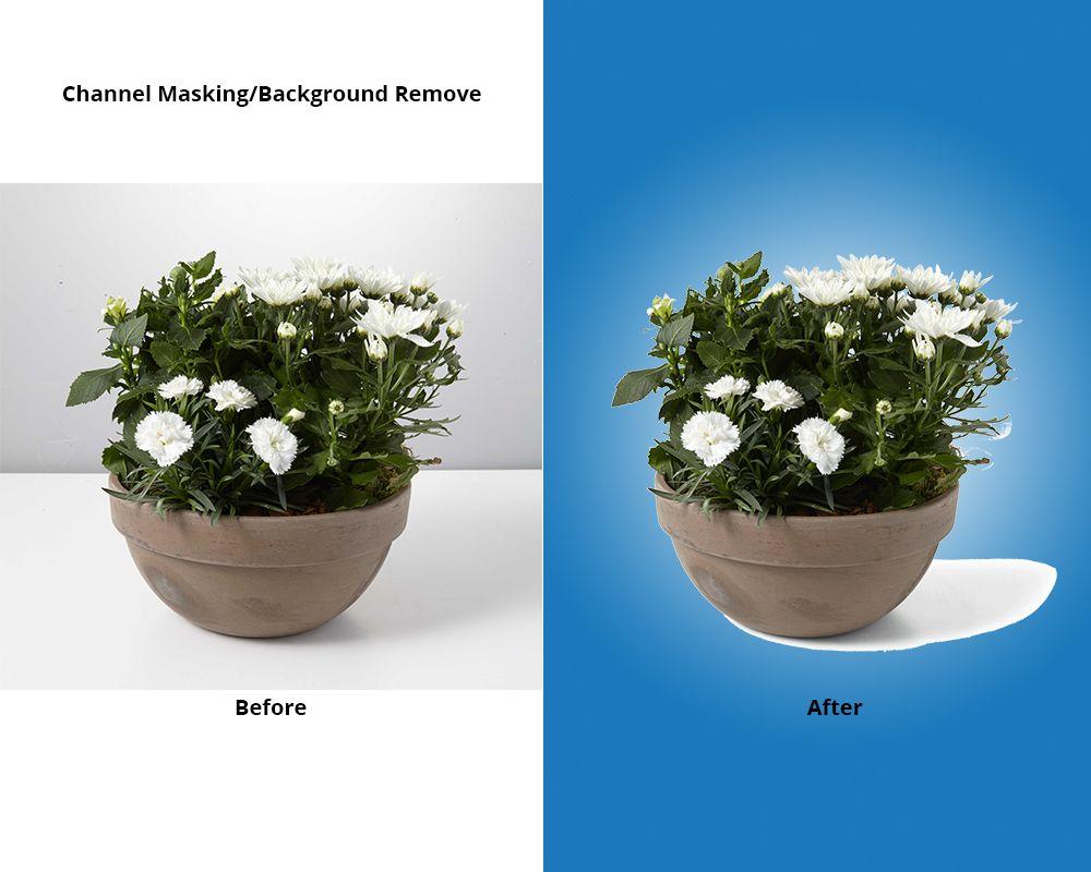 I will do 15 photo background remove and clipping path in 24 hours