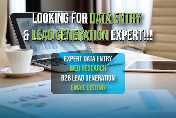 I will do professional data entry and lead generation
