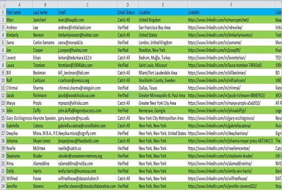 I will do 100 B2B Lead Generation with valid emails.