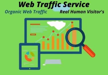 I will bring real visitor's & organic targeted traffic