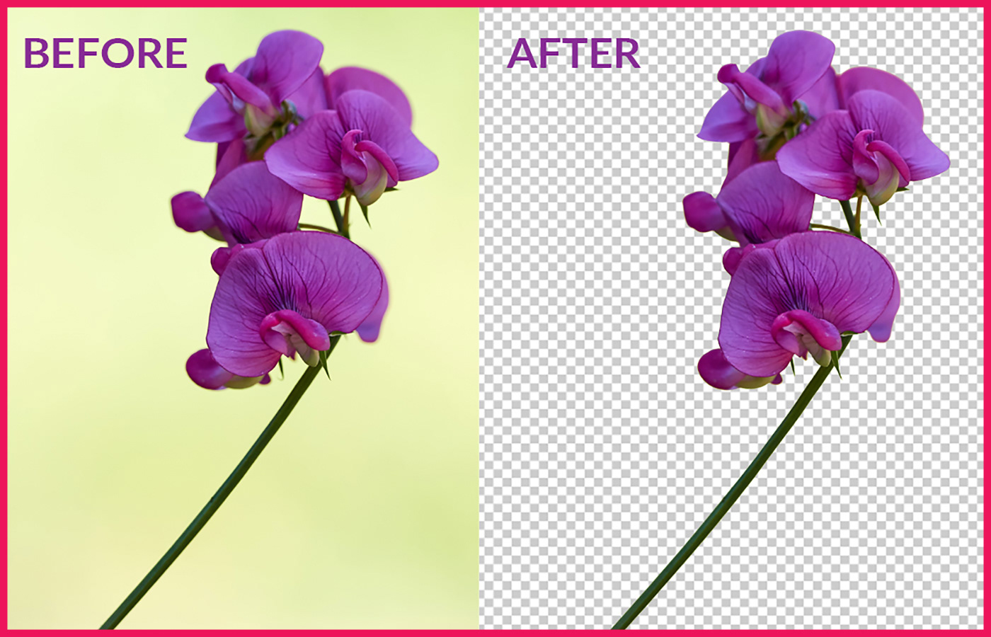 I will do remove background and editing in 24 hours