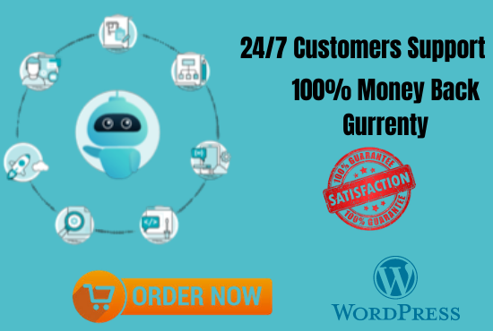 I will design WordPress responsive website or blog