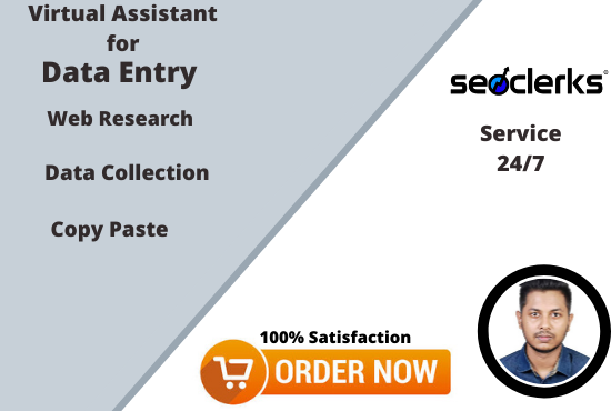 I will do data entry, web research,Data collection & copy paste