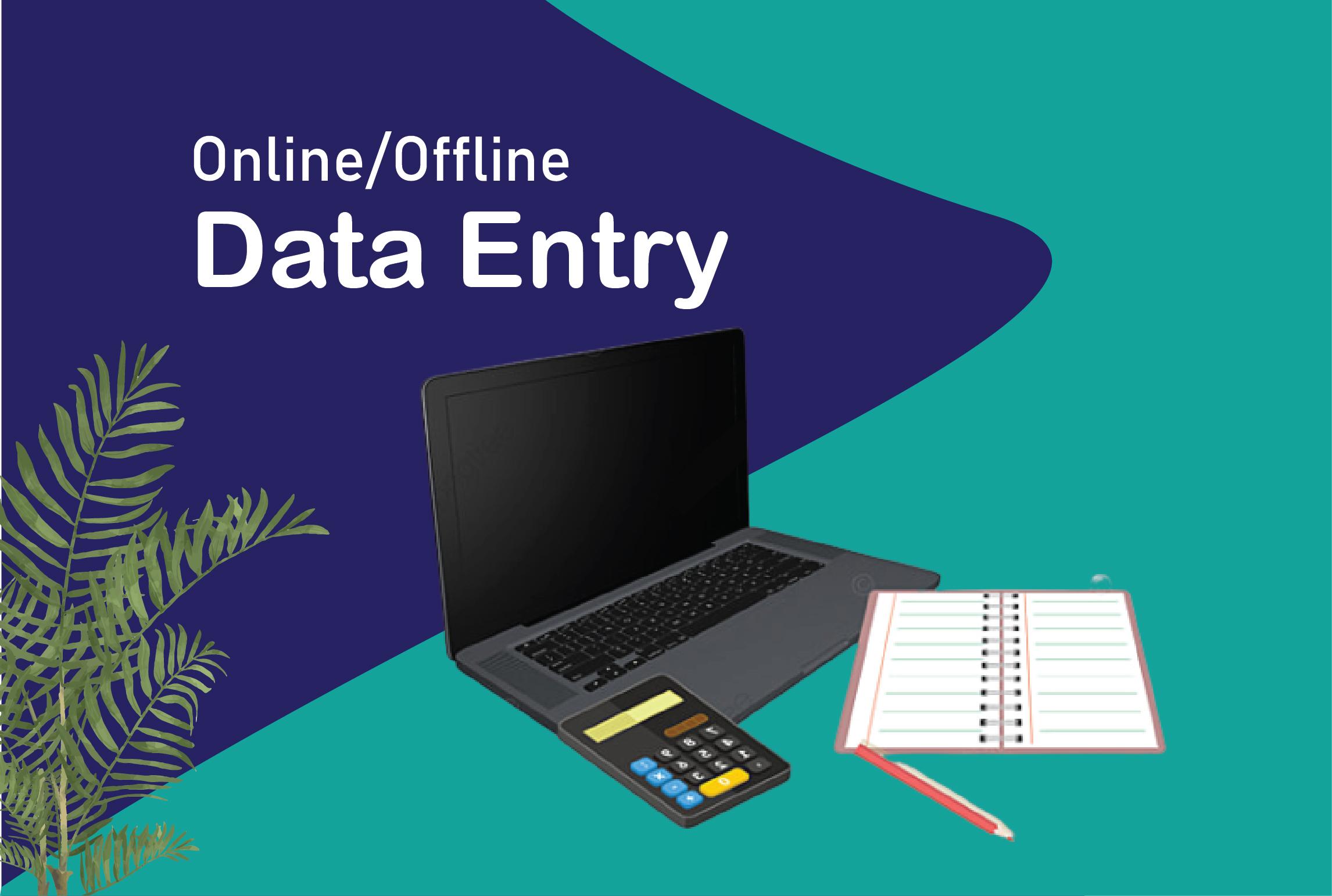 I will provide any type of data entry work and data analysis