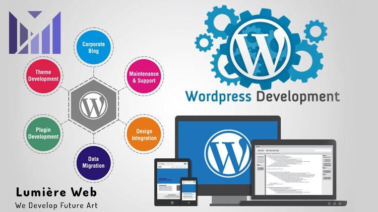 I will develop a website using wordpress