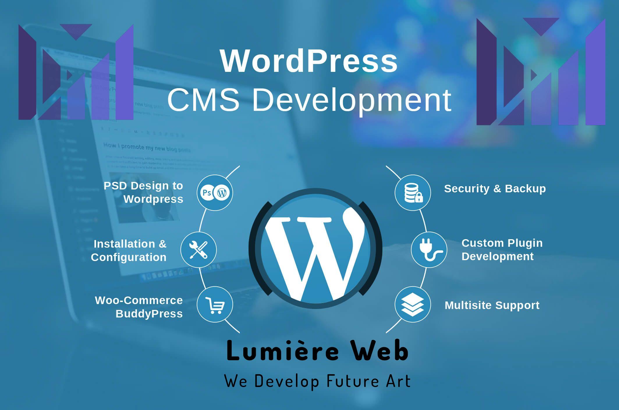 I will develop a website using wordpress