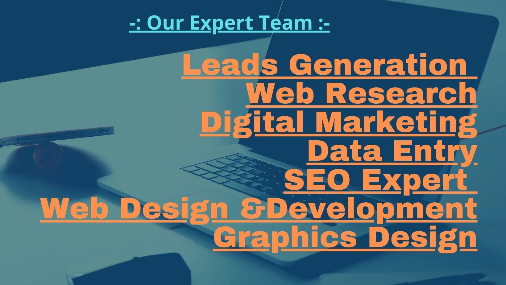 I will do b2b linkedin lead generation email marketing data entry