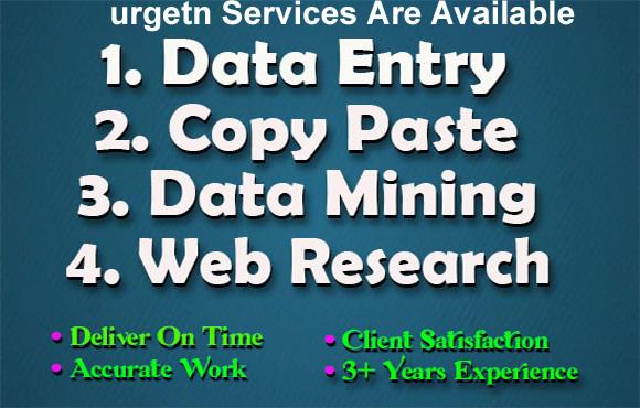 I Will Create Data Entry ,Excel Data Entry ,Copy Paste and Typing Work within in 5 Hours