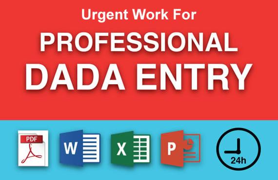 I Will Create Data Entry ,Excel Data Entry ,Copy Paste and Typing Work within in 5 Hours