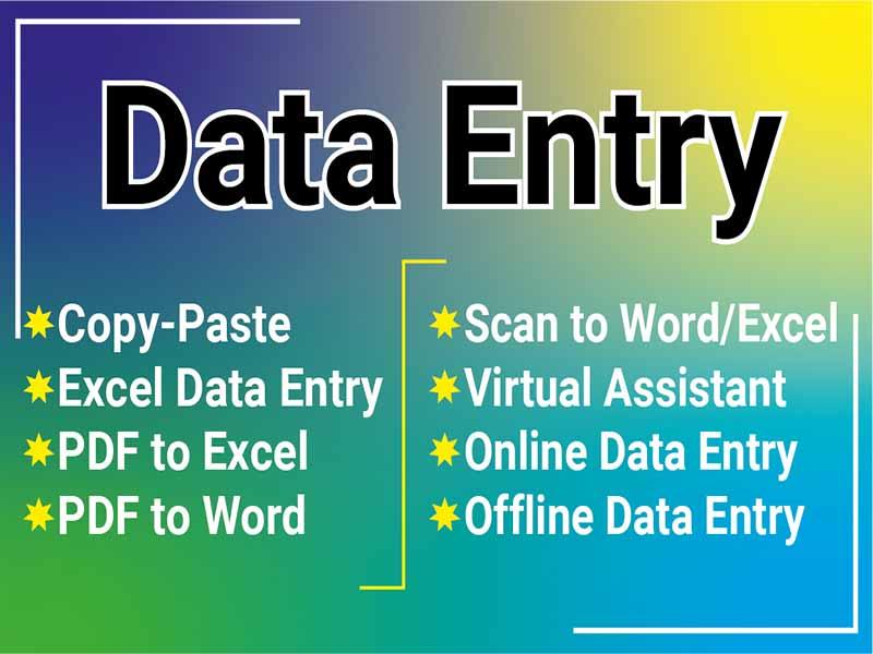 I will do excel data entry, typing, copy paste, data mining, file convert