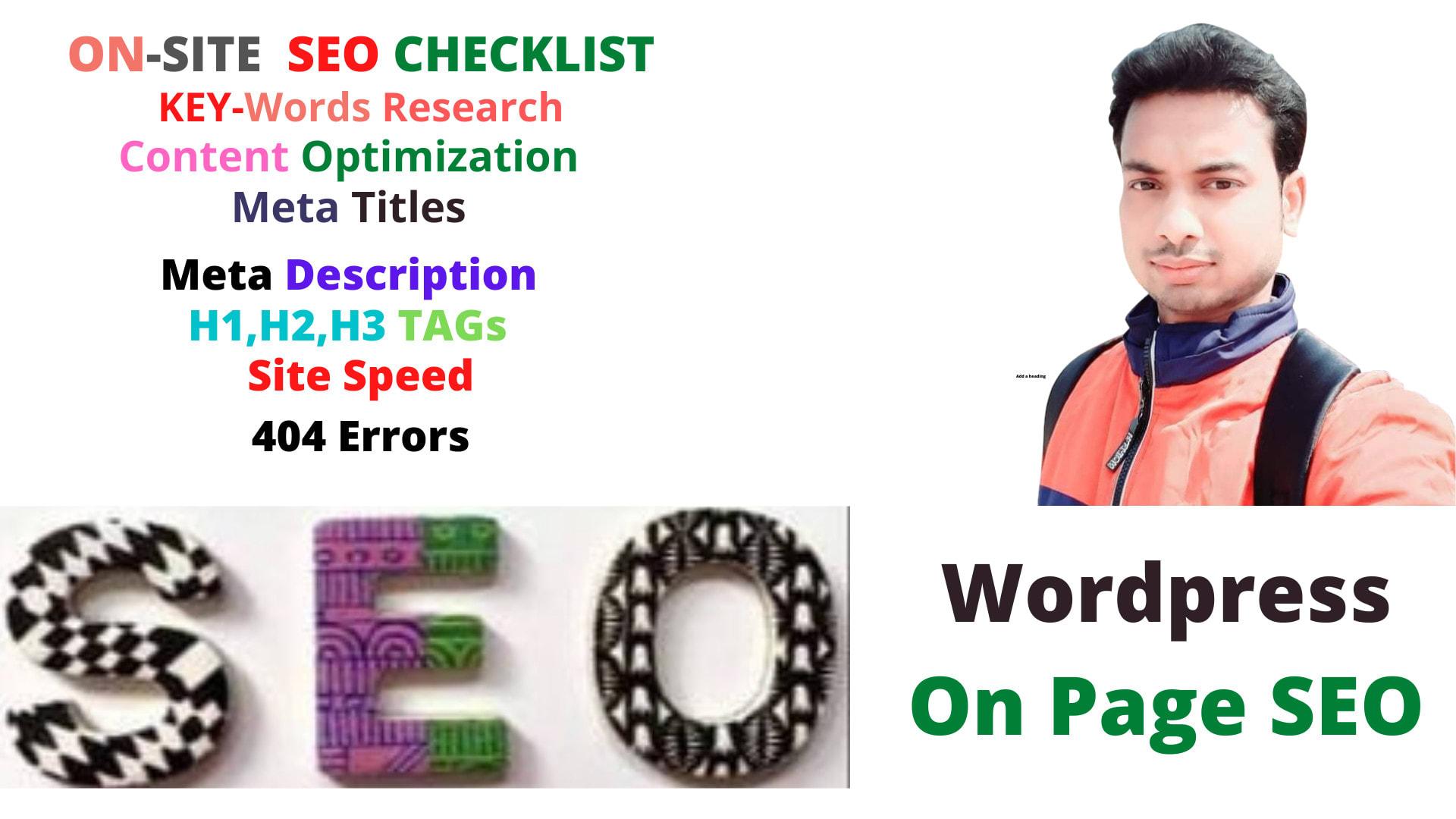 I will do professional on page SEO and WordPress site ranking