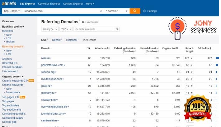 I will provide expert SEO report, competitor website audit, analysis and action