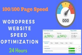 I will do wordpress speed optimization and improve page speed score