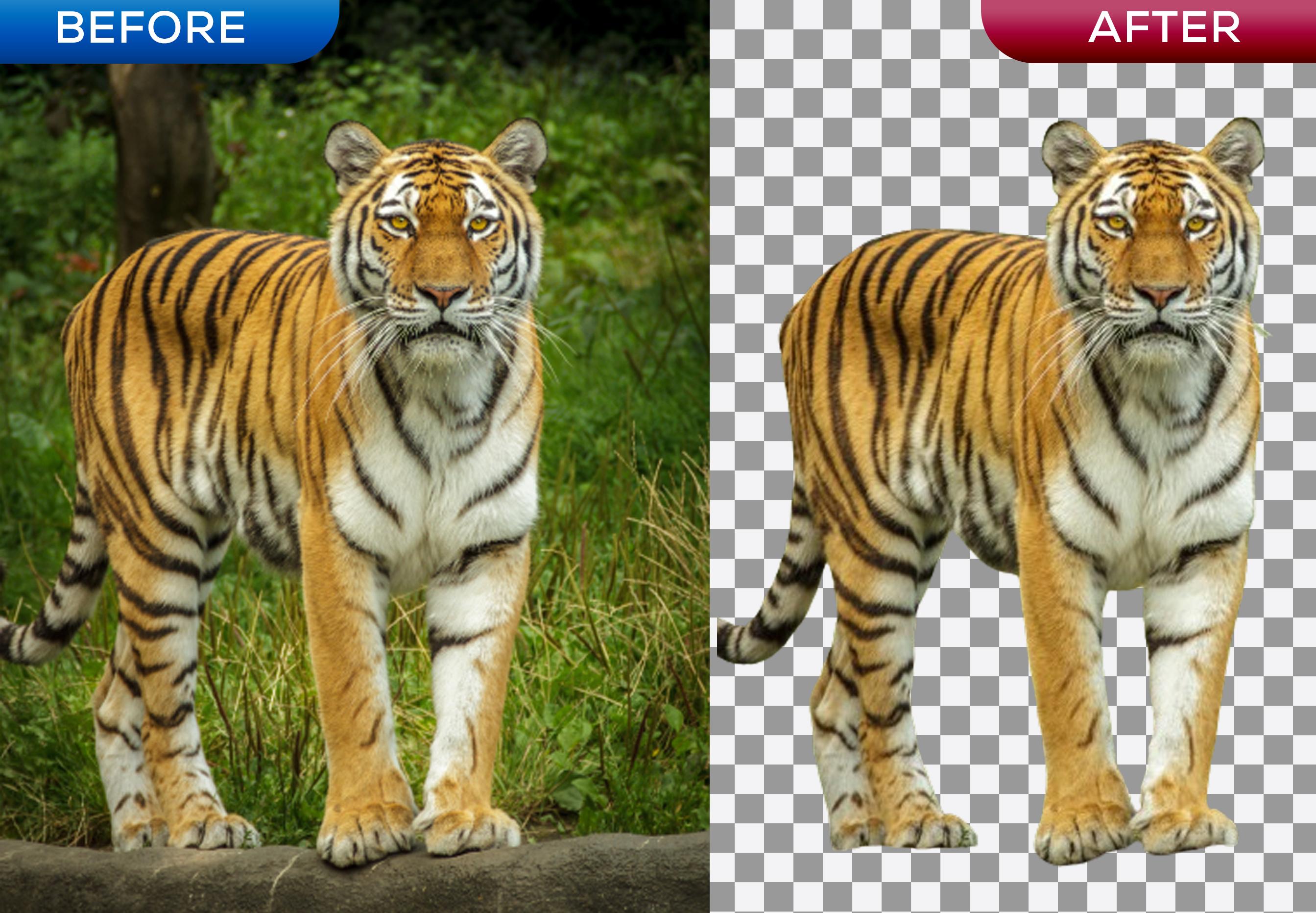 I will remove background 10 images with white or transparent