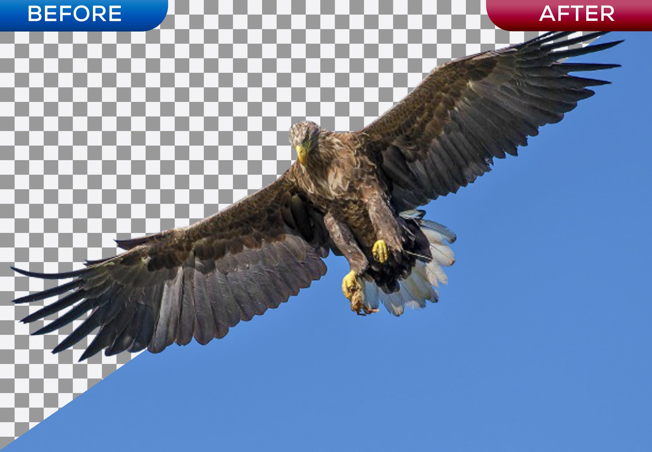 I will remove background 10 images with white or transparent