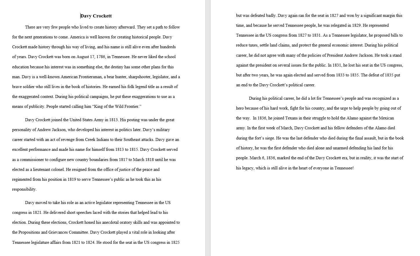 Eye Catchy and Unique Essay on any topic or niche 