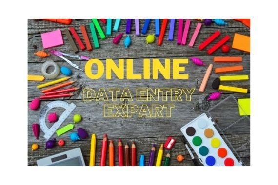 I will do data entry, internet research 