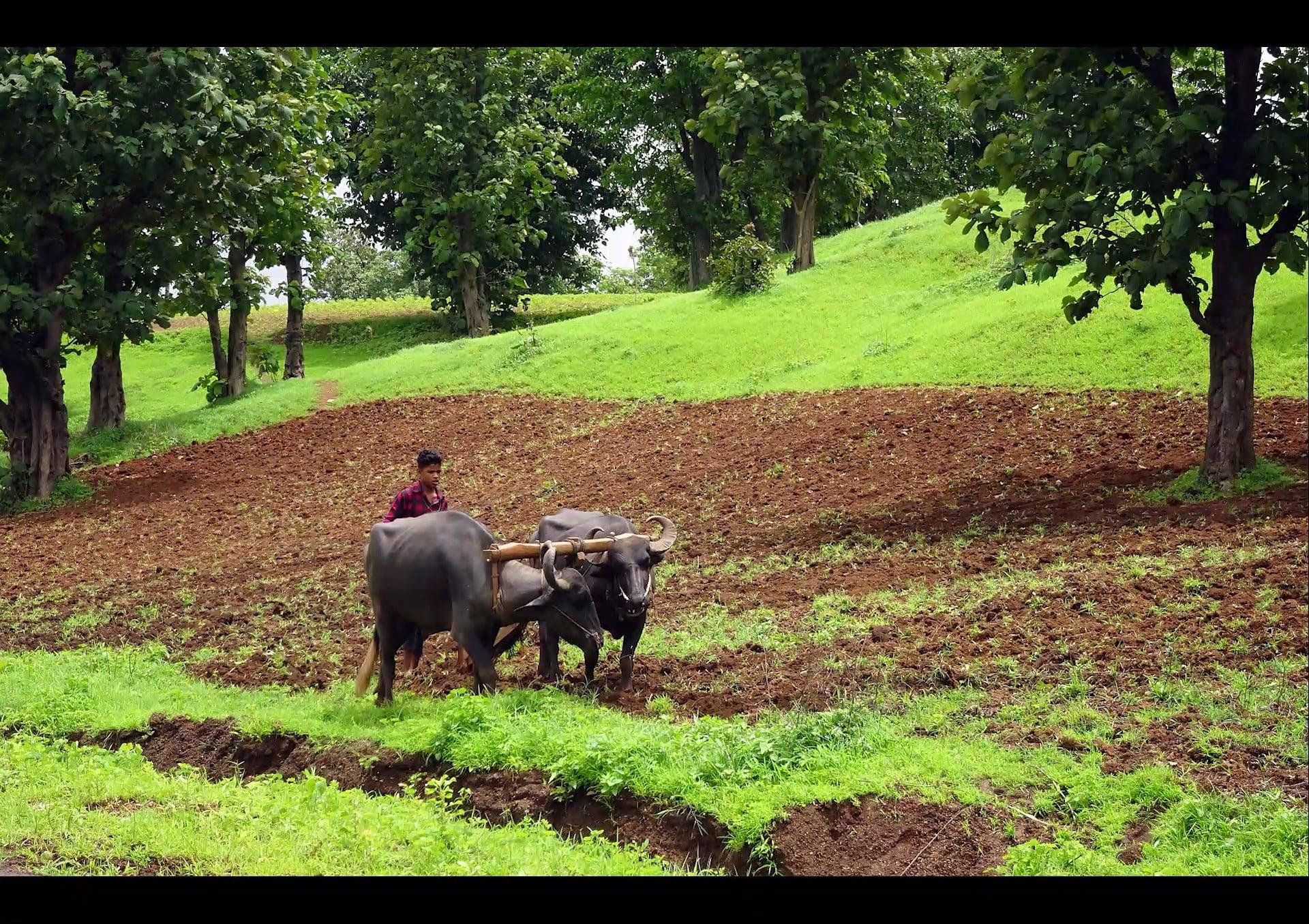 I will do slideshow, intro, outro, logo animation, ads, vlogs