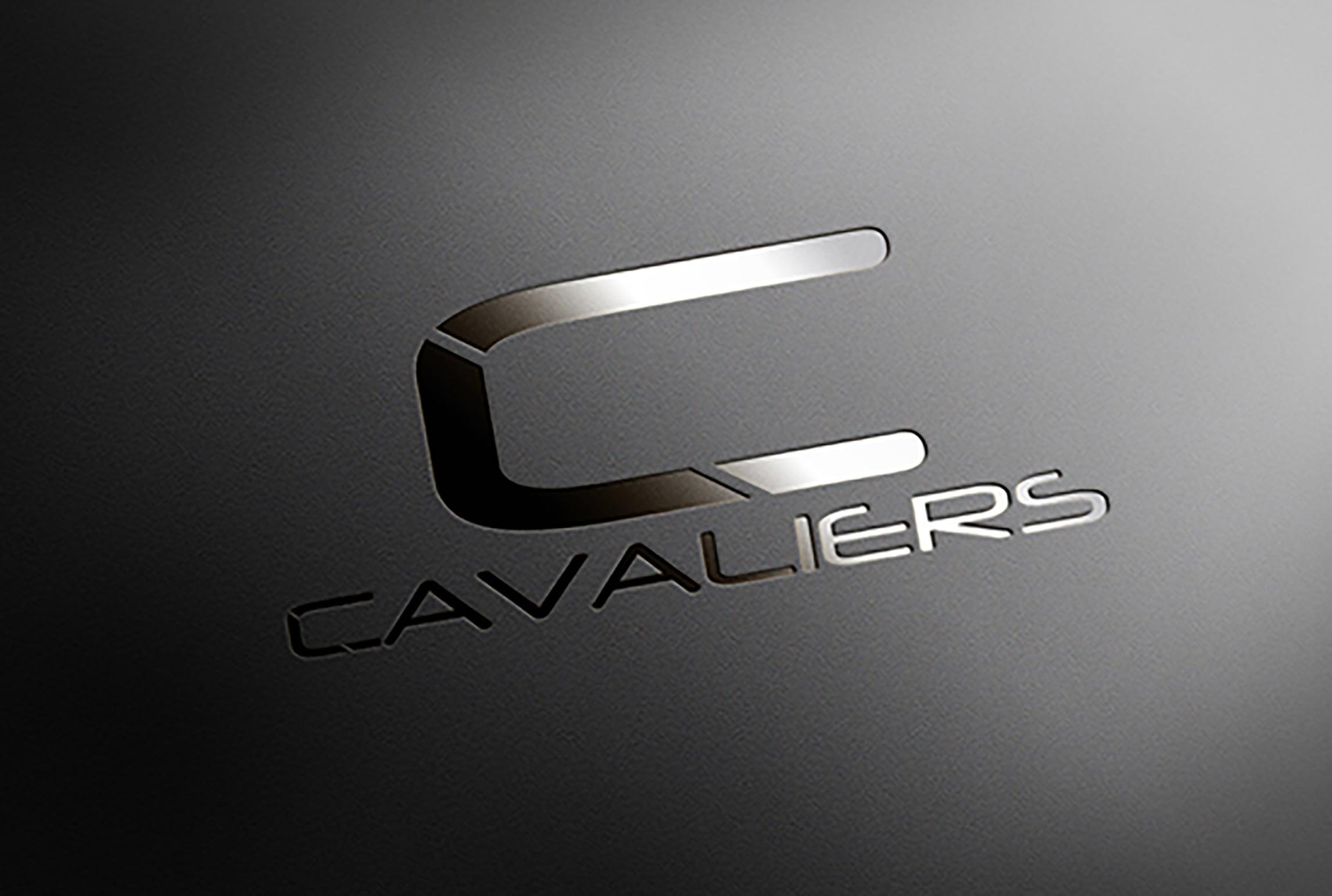 I will craft a professional modern, clean, minimalist business logo